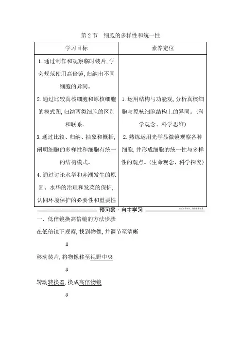 高中生物人教版(2019)必修1第1章第2节细胞的多样性和统一性学案