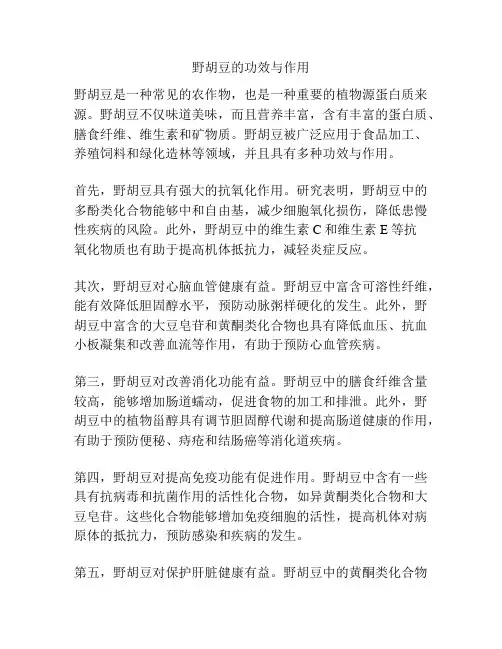 野胡豆的功效与作用