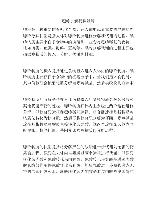 嘌呤分解代谢过程
