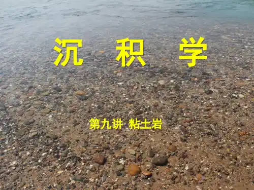 沉积学课件第九讲 粘土岩