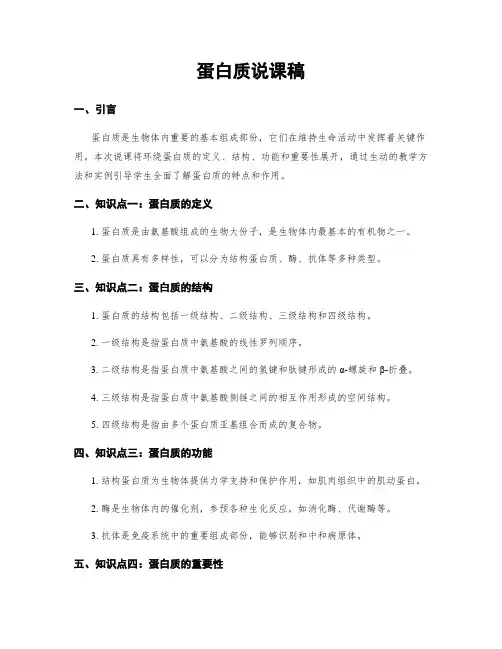 蛋白质说课稿