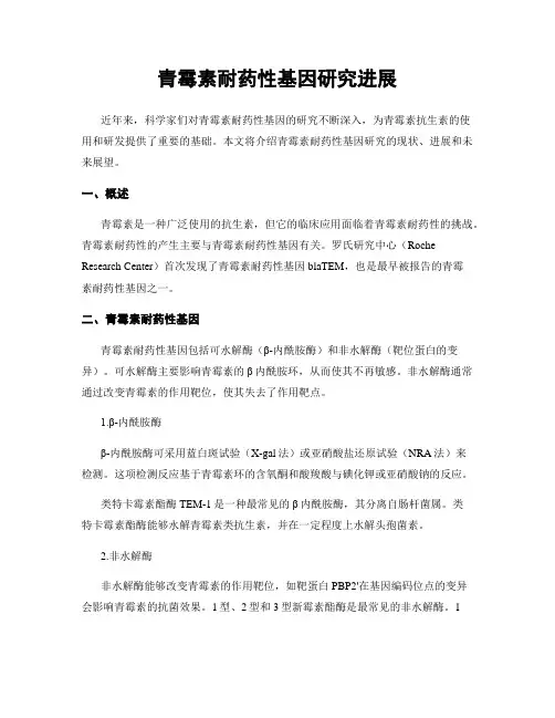 青霉素耐药性基因研究进展