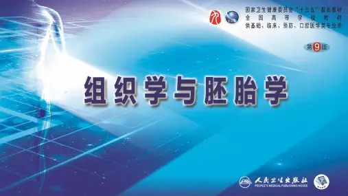 第13章 内分泌系统
