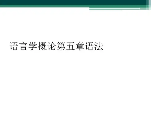 语言学概论第五章语法