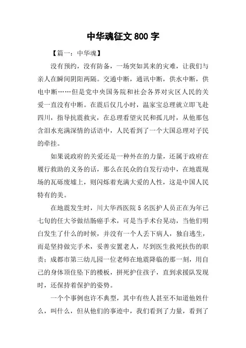中华魂征文800字