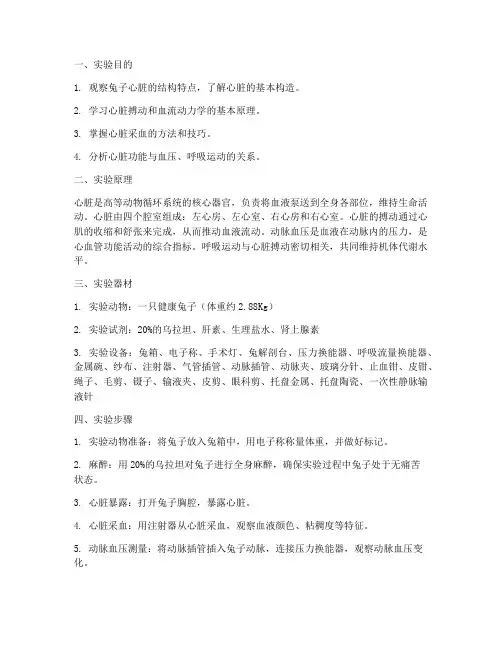 兔子心脏实验报告