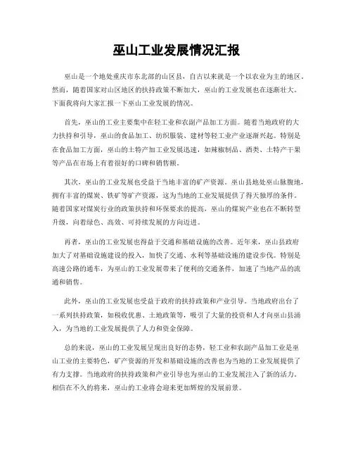 巫山工业发展情况汇报