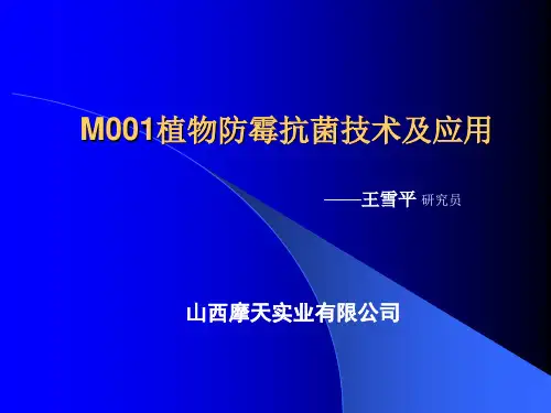 焦化项目简介