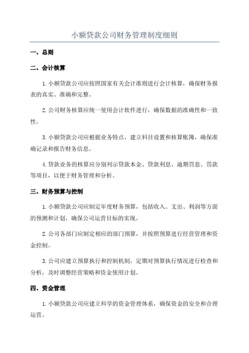 小额贷款公司财务管理制度细则