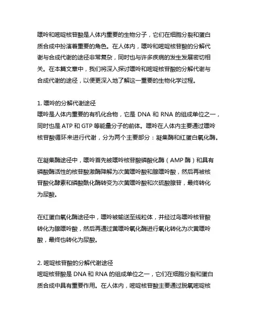 嘌呤、嘧啶核苷酸的分解代谢与合成代谢的途径