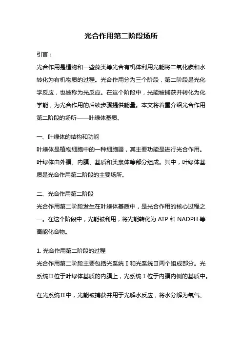 光合作用第二阶段场所