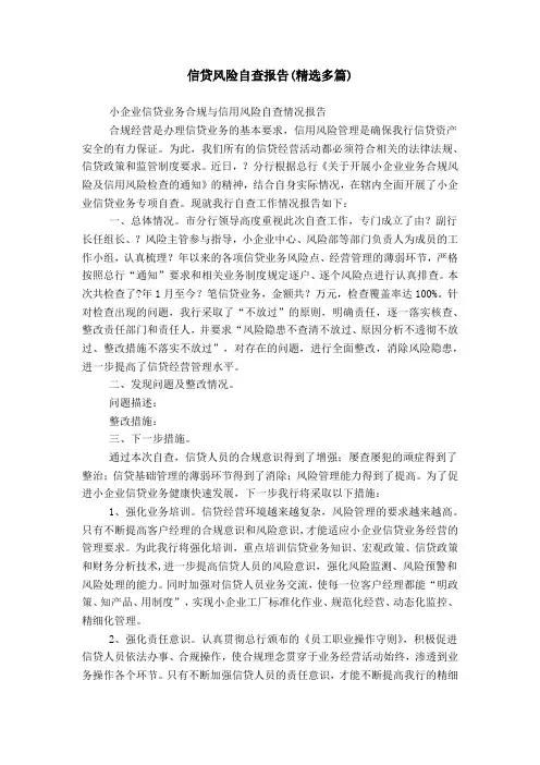 信贷风险自查报告