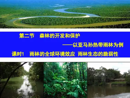 课件12：2.2.1雨林的全球环境效应 雨林生态的脆弱性