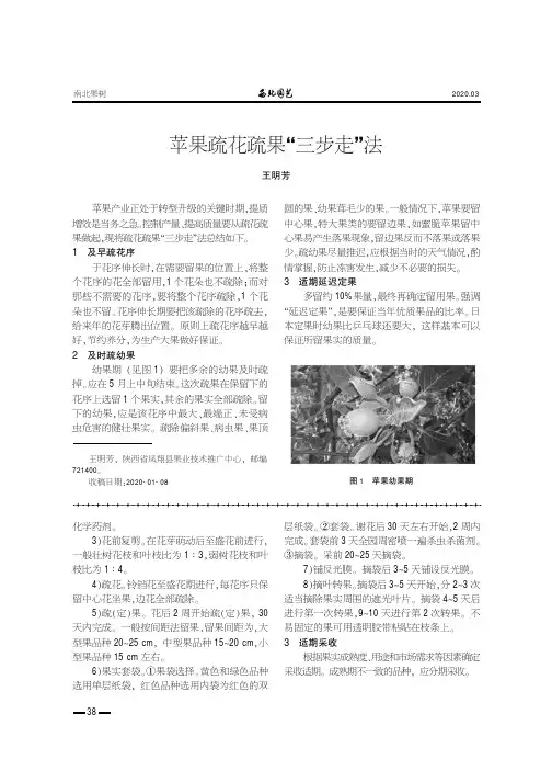 苹果疏花疏果“三步走”法