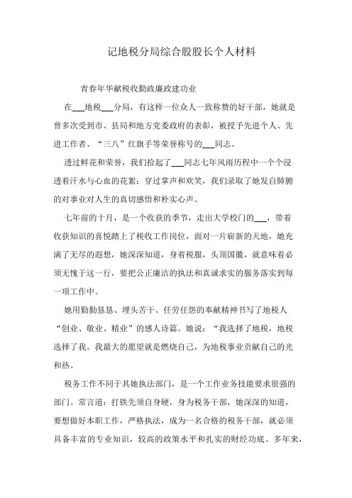 记地税分局综合股股长个人材料