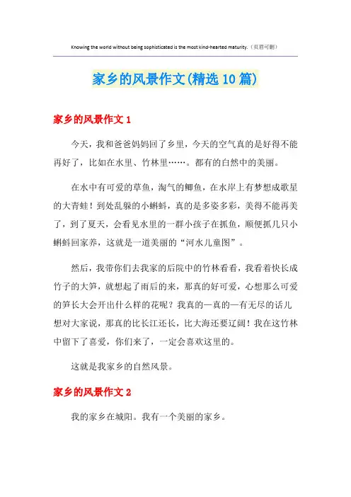 家乡的风景作文(精选10篇)