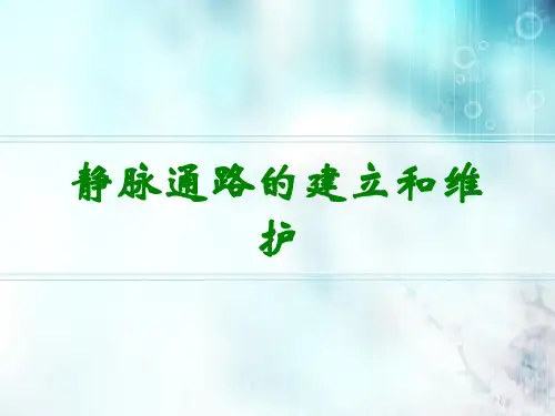 静脉通路的建立和维护