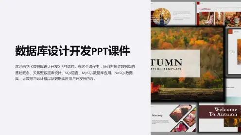 《数据库设计开发》课件