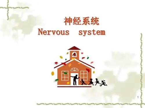 生理学-神经系统PPT医学课件