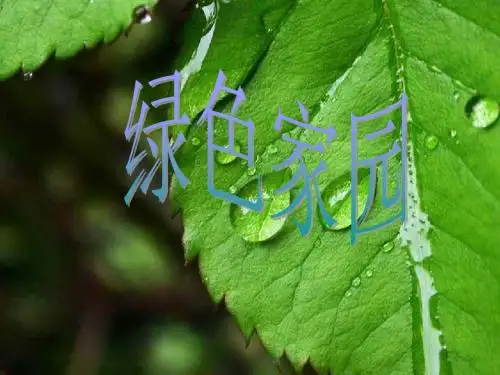 绿色家园--浙教版(中学课件2019)