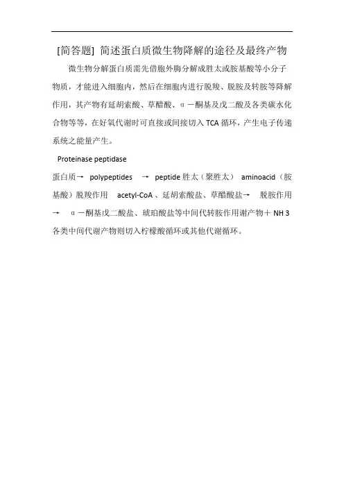 [简答题] 简述蛋白质微生物降解的途径及最终产物