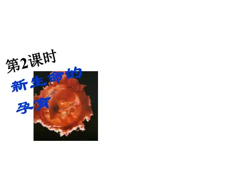 新生命的孕育   七年级科学课件