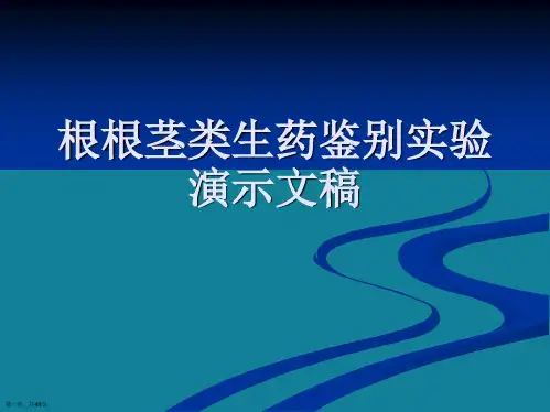 根根茎类生药鉴别实验演示文稿