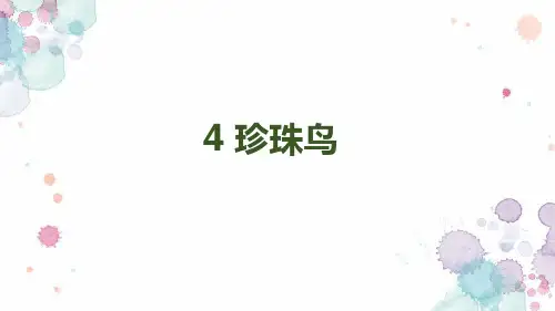 《珍珠鸟》教学课件(共51张PPT)