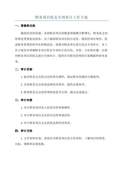 财务项目收支专项审计工作方案