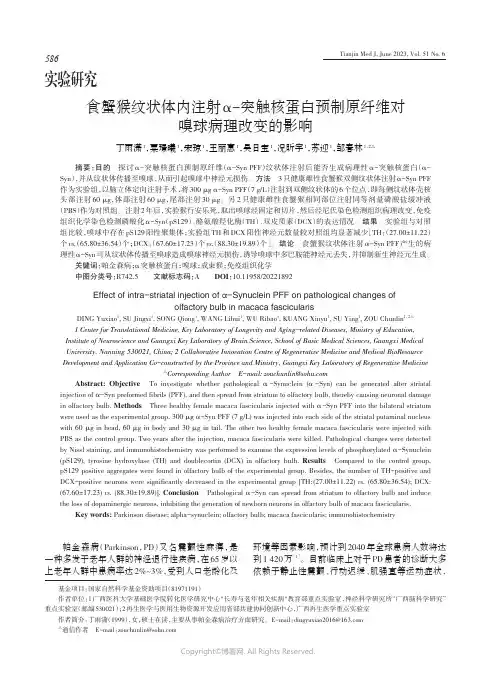 219375978_食蟹猴纹状体内注射α-突触核蛋白预制原纤维对嗅球病理改变的影响