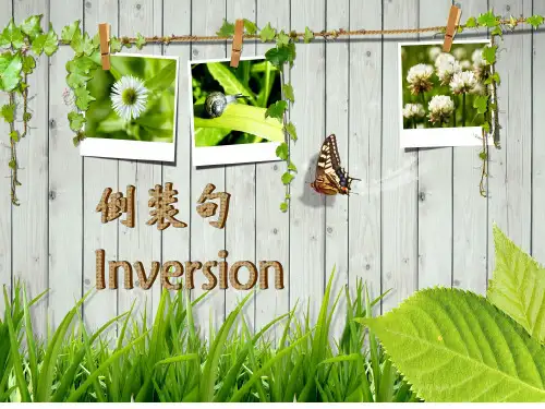 初中语法倒装句优质公开课获奖课件