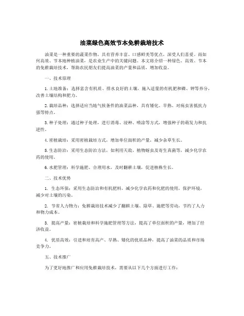 油菜绿色高效节本免耕栽培技术