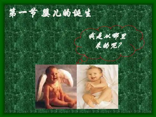 《婴儿的诞生》教学课件 济南版