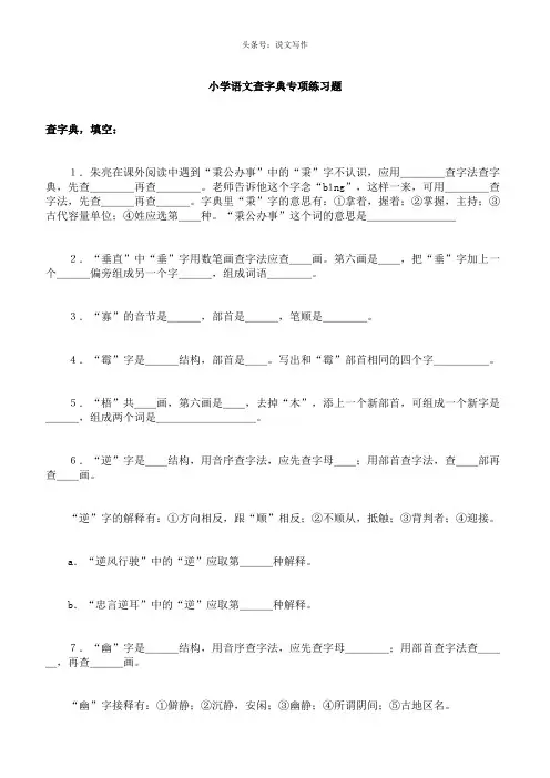 小学查字典专项练习题