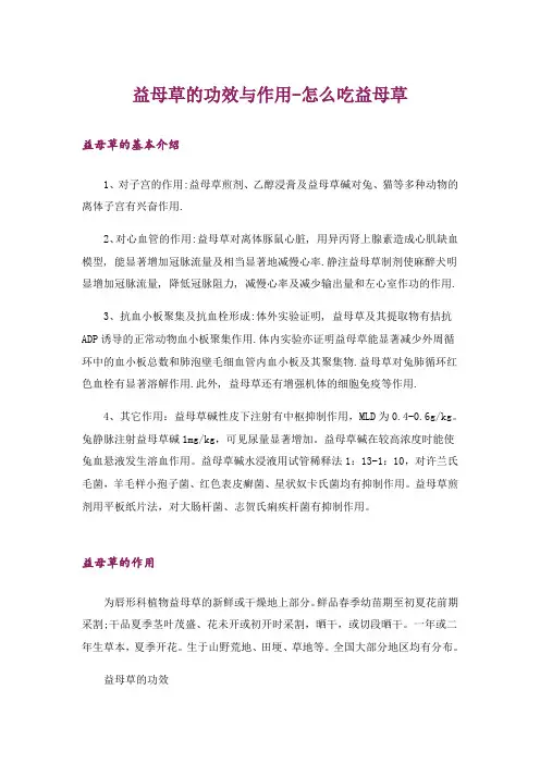 益母草的功效与作用-怎么吃益母草