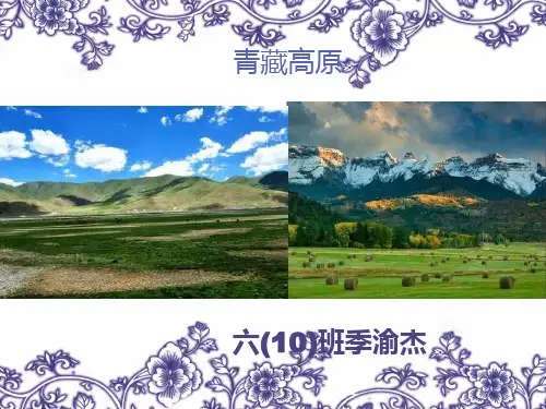 青藏高原ppt