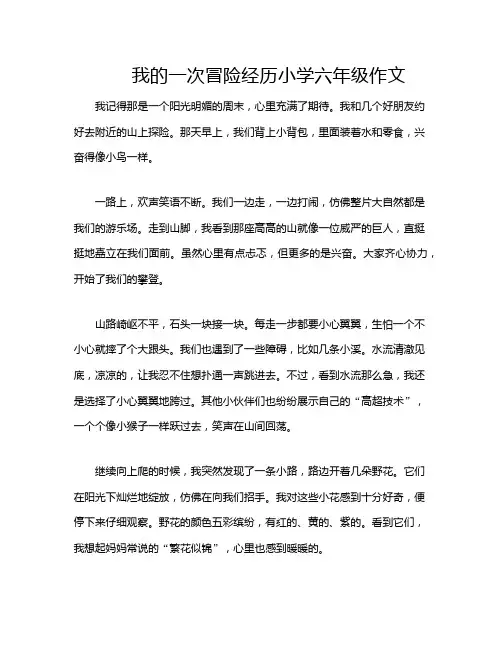 我的一次冒险经历小学六年级作文
