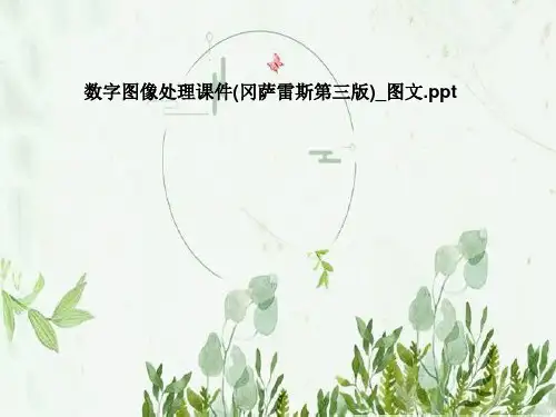 数字图像处理课件(冈萨雷斯第三版)_图文