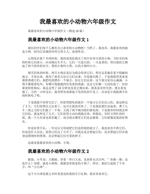 我最喜欢的小动物六年级作文