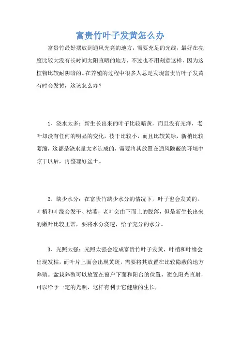 富贵竹叶子发黄怎么办