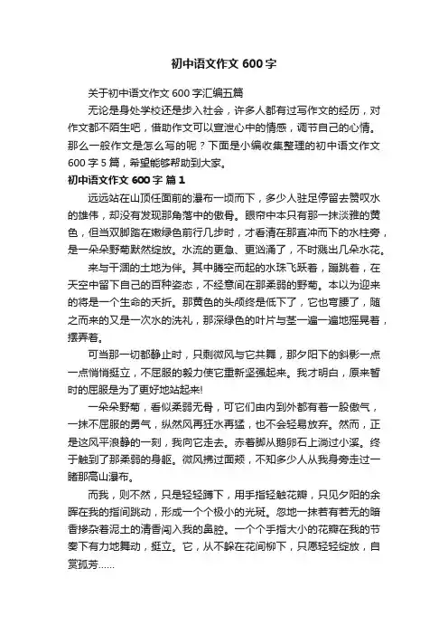 初中语文作文600字