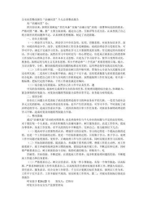 问责整改报告
