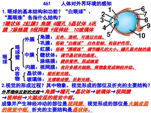 鲁科版生物七年级下册期中复习提纲课件2022-2023学年七年级生物鲁科版(五四制)下册