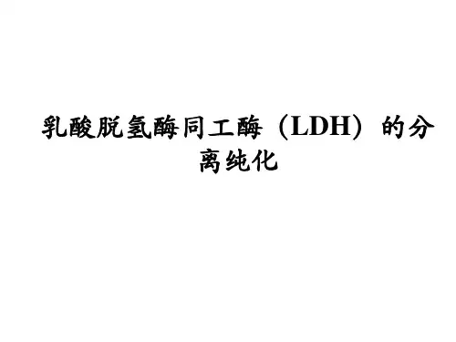 第四章实验五乳酸脱氢酶_LDH_同工酶的分离纯化