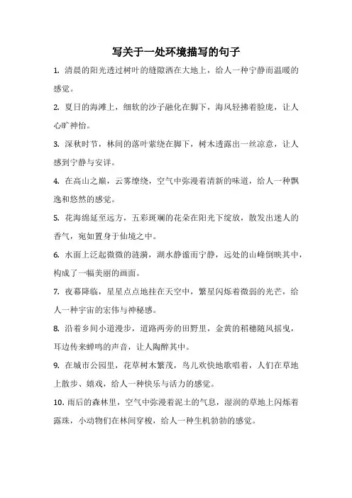 写关于一处环境描写的句子
