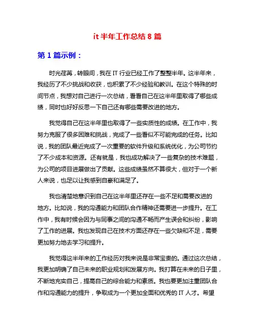 it半年工作总结8篇