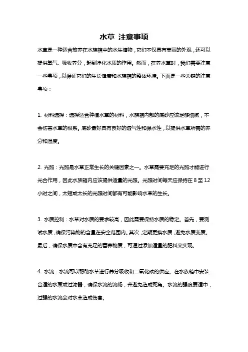 水草 注意事项