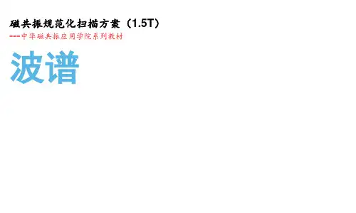 24.1.5T波谱规范化扫描方案