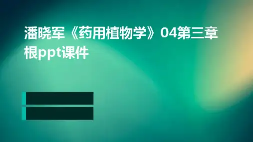 潘晓军《药用植物学》04第三章根PPT课件
