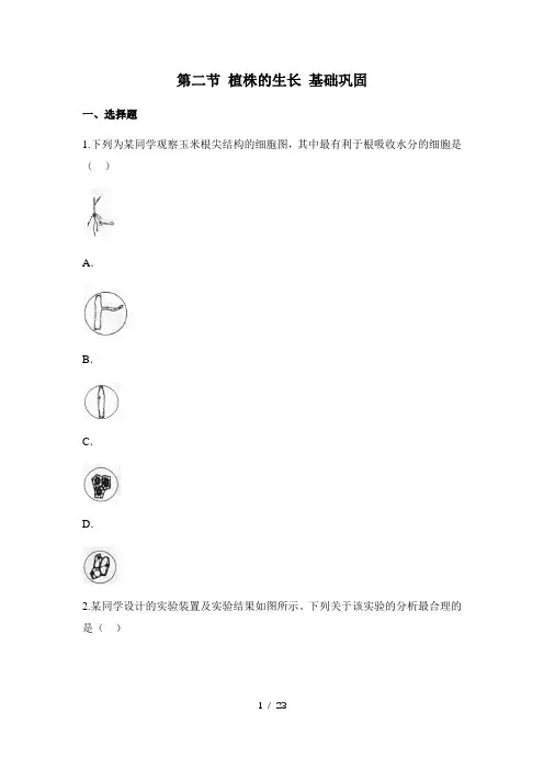 人教版生物七年级上册3.2.2《植株的生长》同步练(含解析)